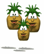Bouncing Pineapples